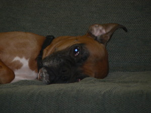 don't bother me when i'm trying to sleep