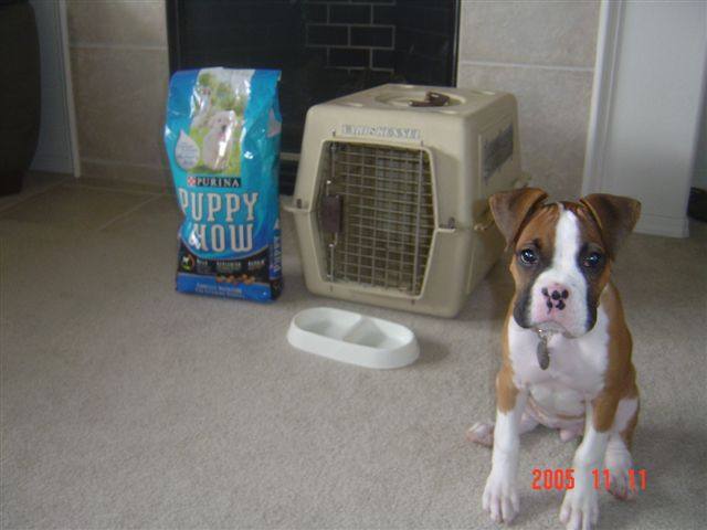 Don't give my stuff away!