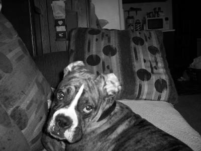Don't I look "devilish"?
