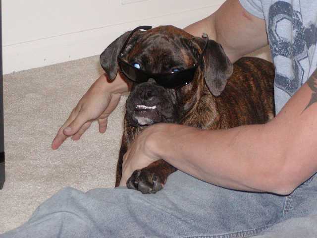 Dont mess with my mommy.
