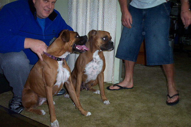 don't mother and daughter look alike