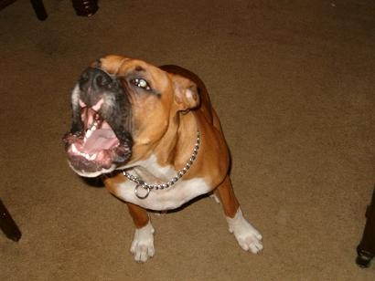 dont take my picture