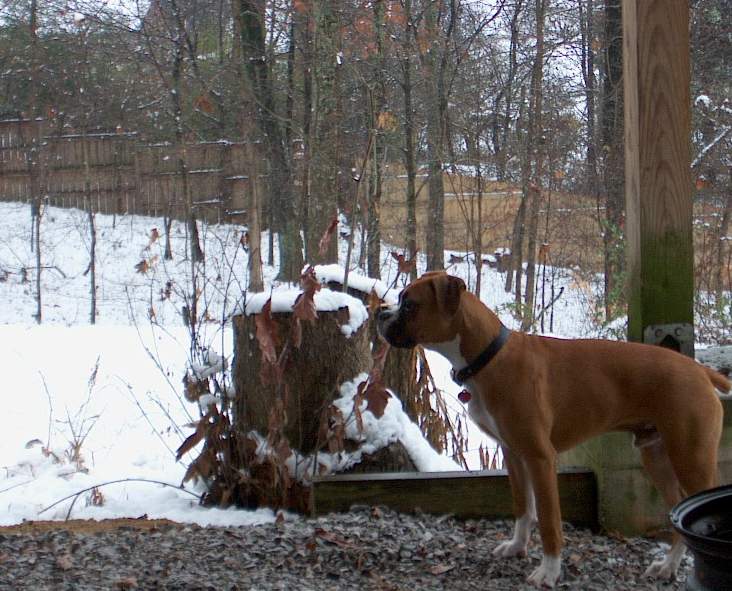 Don't think I want to go out there!