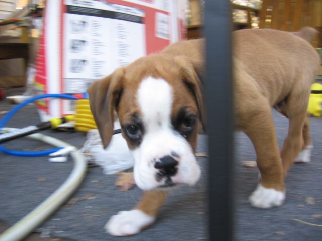 Don't try to hide from me!