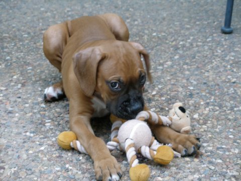 Don't ya just wanna squeeze me?