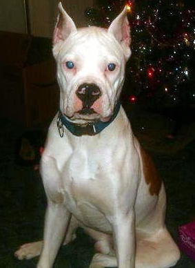 Doody at 8 months