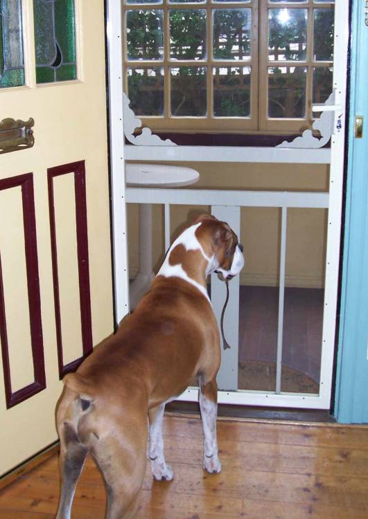 Door Duty