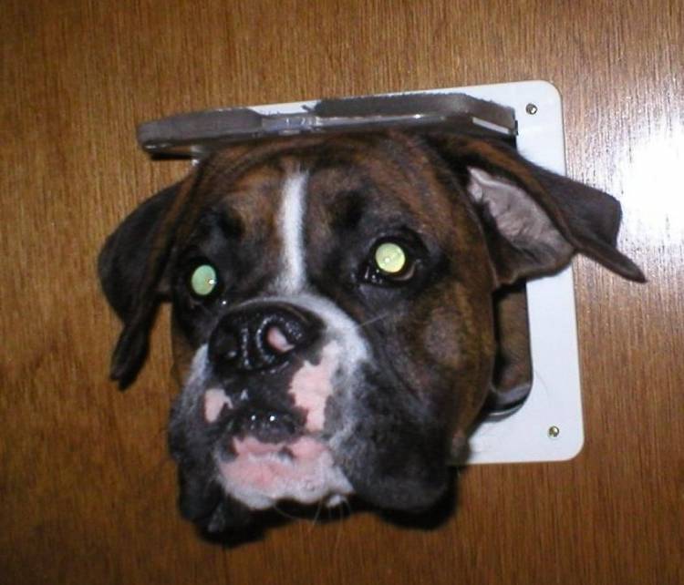 door