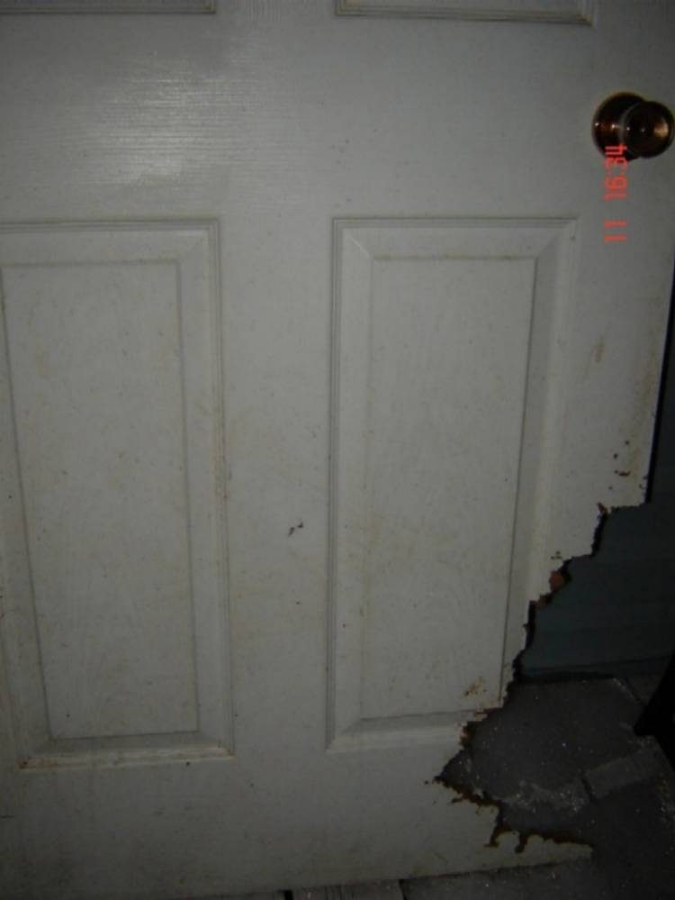 Door