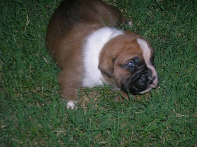 Dora at 2 weeks