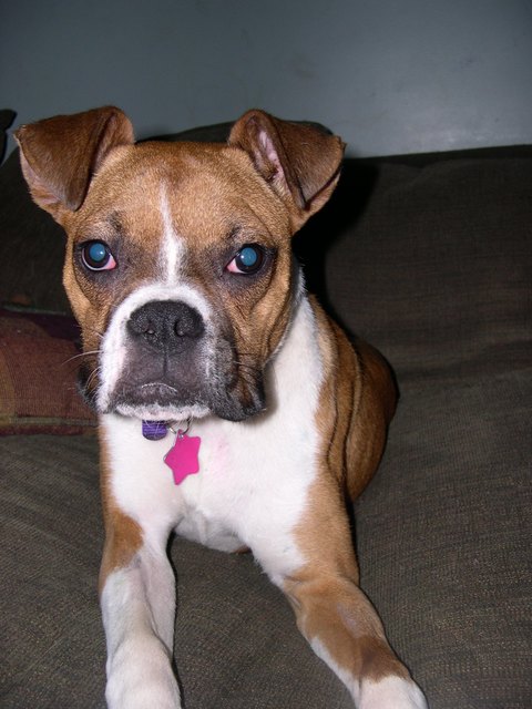 Dora