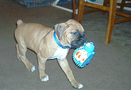 Dora's first toy