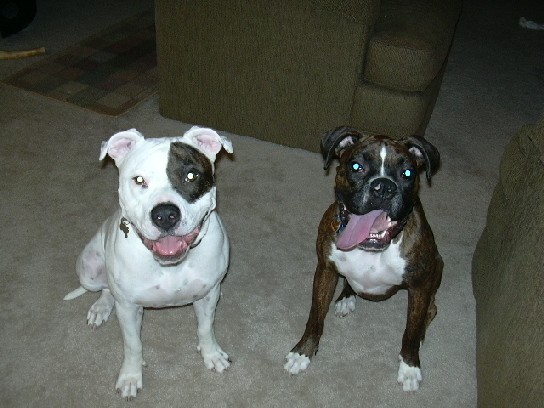 Double Trouble