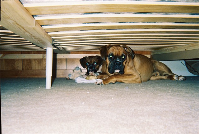 Double Trouble