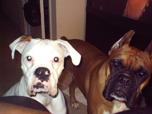 Double Trouble