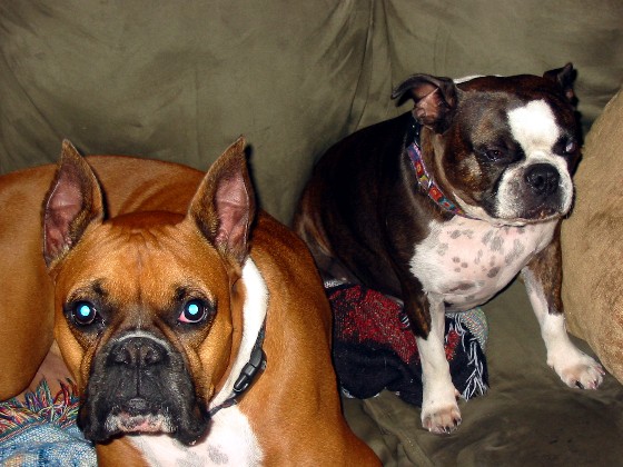 Double Trouble
