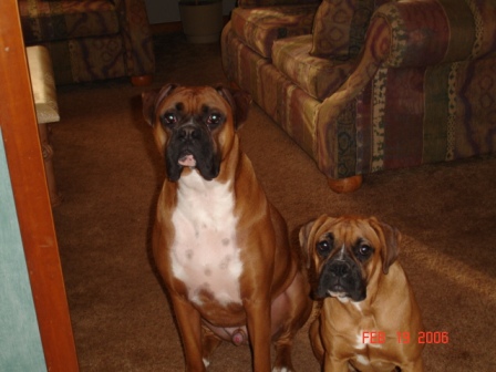 Double Trouble