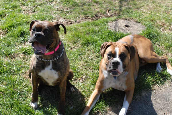 Double Trouble!