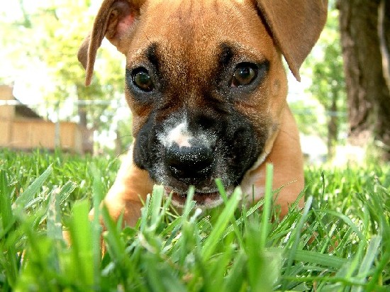 Down and dirty with Maggie