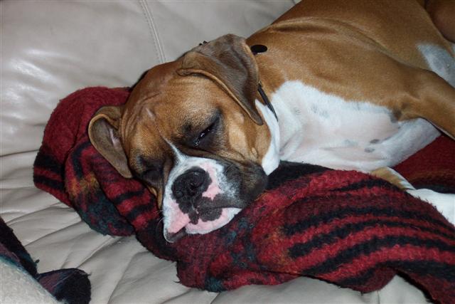 Down for the Count