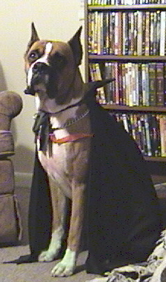 Dozer halloween 2005