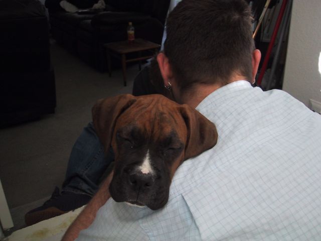 Drago helping me tile my house