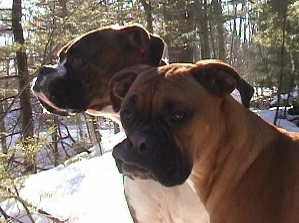 Drake and Zeek