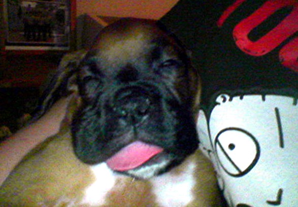 Dreamin' bout ice cream I guess