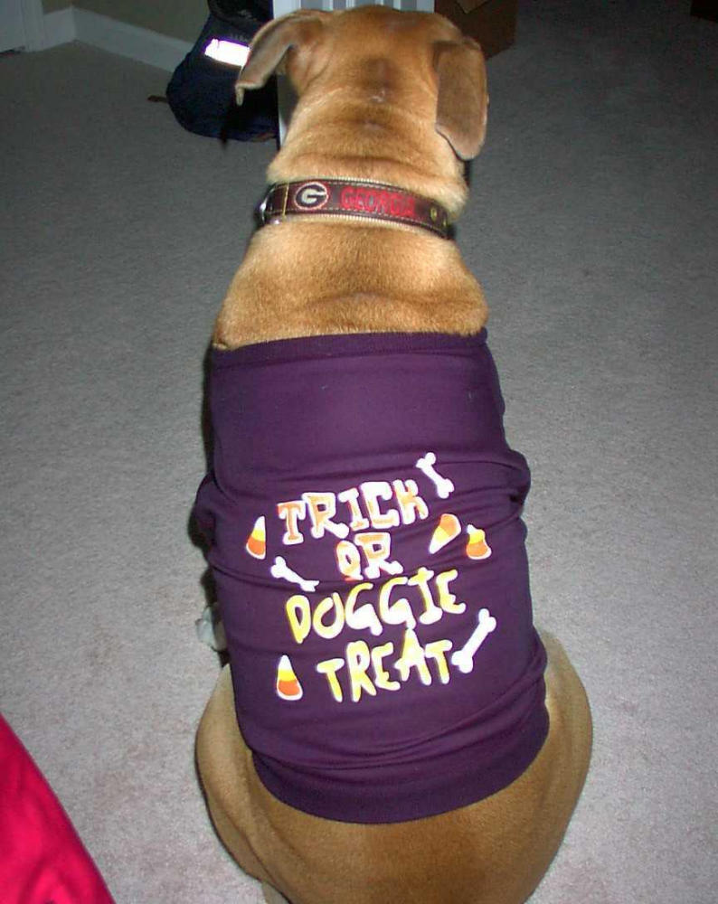 Dressed for Halloween