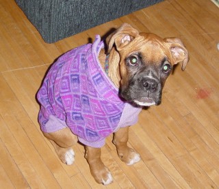 Dressed for the Cold