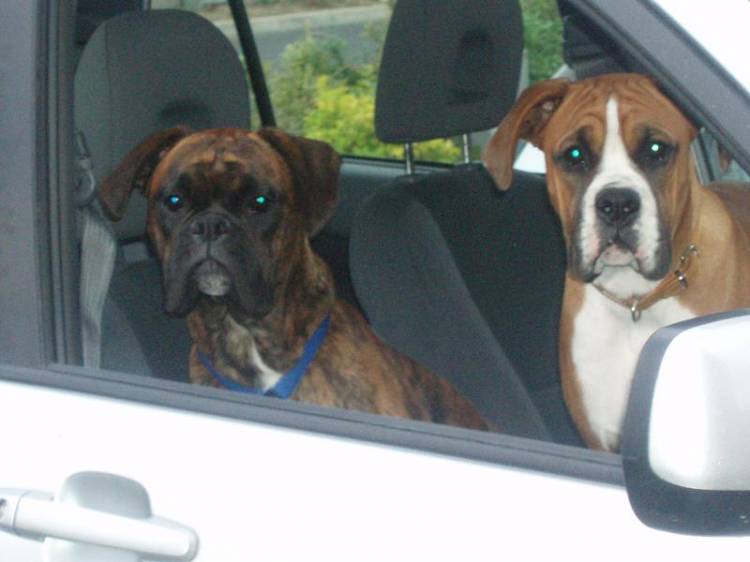 Driving Lesson