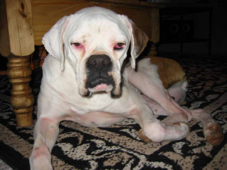 Droopy-Eyed Girl