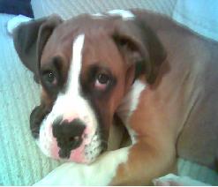 Droopy face