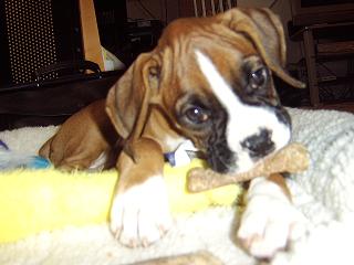 Droopy