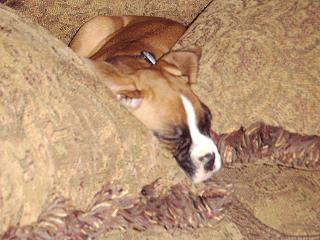 Droopy