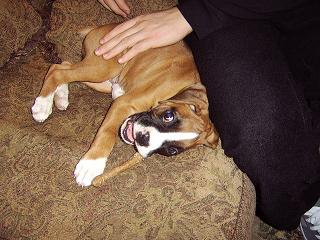 Droopy