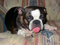 Drunk Mia!