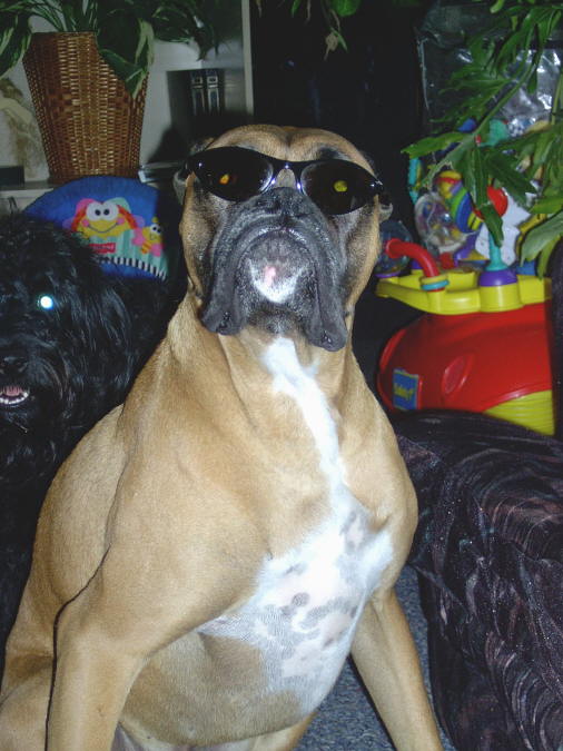 Dryfus is a cool dude!