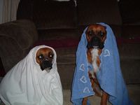 Drying Off
