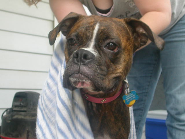 drying off