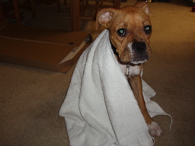 drying up