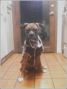D's new coat