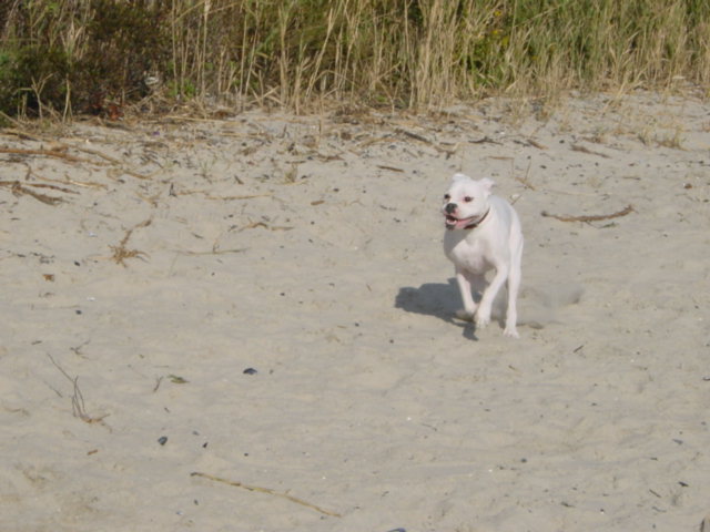 DSC00073