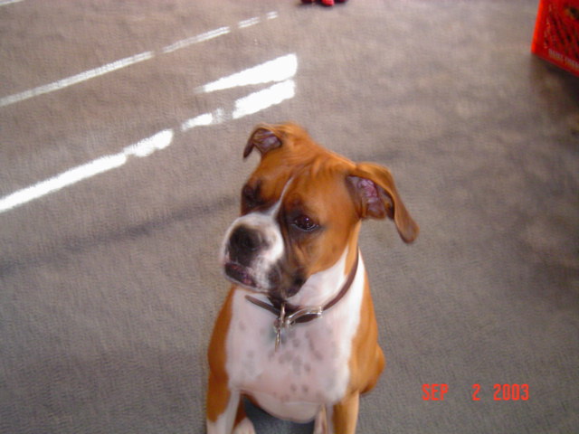 DSC00268