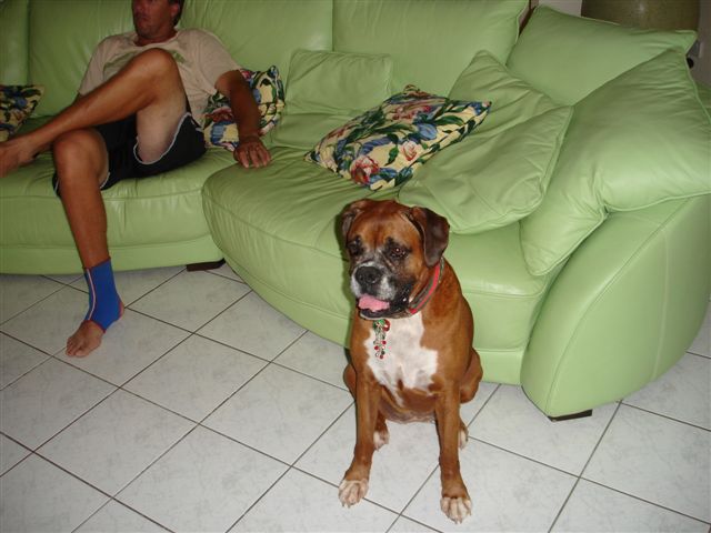 DSC00789