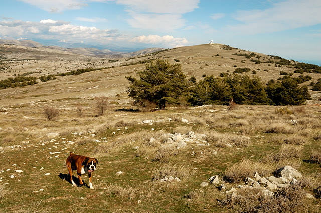 DSC_9009