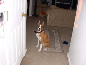 DSCF0077a