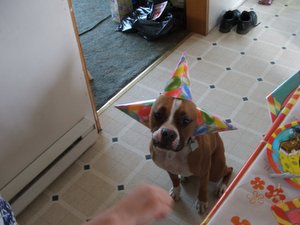 DSCF1141-1