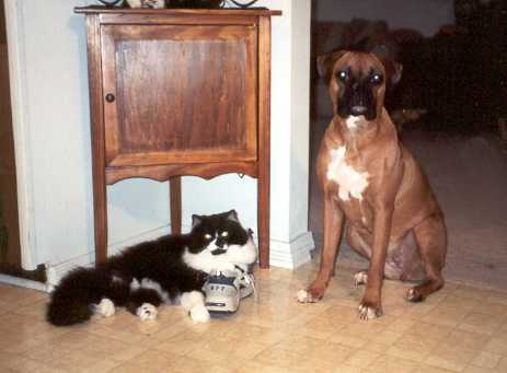 Duchess & Beldar