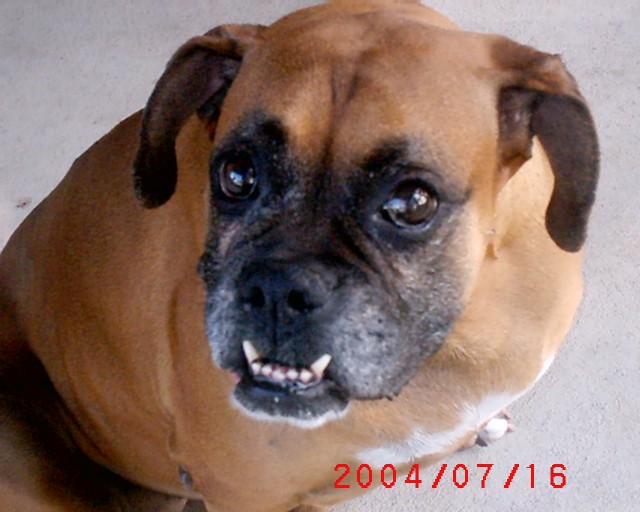 Duchess smiling